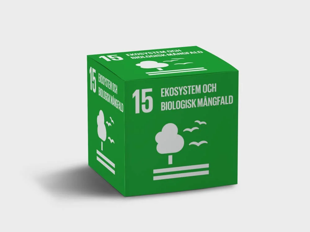 Globalt Mål, Globala Mål, Globalt mål, globala målen kub, displaykub tryck, globala målen tryck kub, globalt mål tryck, skummkub, Saccosäck, eventmöbler, saccosäck, beanbag, mässbord, broschyrställ, rollup, Banderoll, öletiketter, vinetiketter, Banderoller, mässväggar, mässmonter, mässmontrar, beachflaggor, Expo, Print, Förpackningar, Etiketter, tryck, giveaways, öletiketter, etiketter, reklamprodukter, banderoller, dekal, dekaler, mässmontrar, profilkläder med tryck, reklamprodukter, giveaways, företagsprofilering, USB med tryck, kepsar med tryck, t-shirts med tryck, reflexer, isskrapor med tryck, beachflaggor, vattenflaskor med tryck, eventtält, tygvepor, broschyrhållare, arbetskläder med tryck, paraplyer med tryck, pennor med tryck, storformatsprint, flyers, dekaler, fönsterfolie, forex, hyllvippor, broschyrer, etiketter, öletiketter, produktetiketter, vinetiketter, livsmedelsetiketter, reklamkläder, reklamtryck, tryckeri, trycksaker, reklamartiklar, tryckta produkter, storformat, exponeringsmaterial, digitaltryck, rollups med tryck, tryckta banderoller, mässmaterial, expomaterial, profilreklam, varumärkesprofilering, mässväggar, takdisplayer, expo tryck, print tryck, displaymaterial, reklamflaggor, flaggor med tryck, mobil mässmonter, tryckt marknadsföring, textiltryck, kundgåvor, logotyptryck, specialtryck, ExpoTryck, expotryck.se, rollups, banderoller, eventmöbler, eventstol, eventtält, vepor, vepa, flaggor, flagga, reklamflagga, logotypflagga, företagsflagga, företagsflaggor, distplayställ, takdisplay, beachflagga, beachflaggor, bas, markfäste, vinylbanderoll, meshbanderoll, banderoll, pvc banderoll, takdisplay,